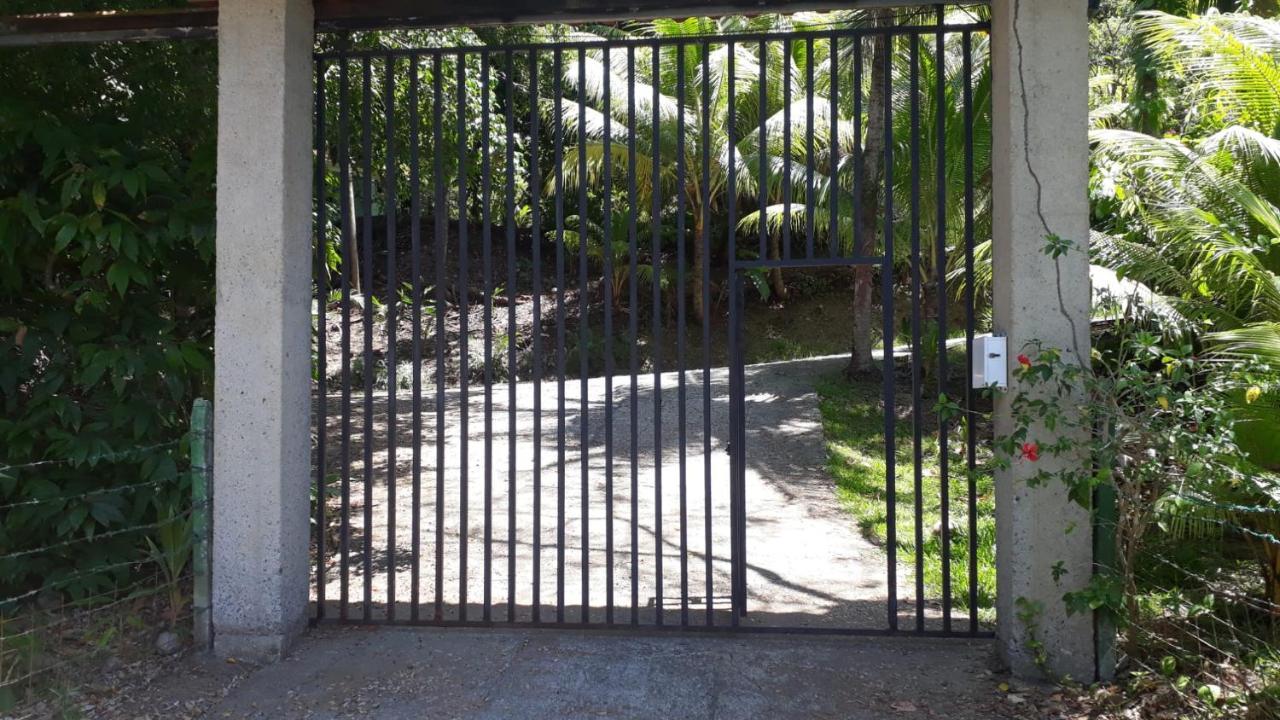 Iguana Libre Ξενοδοχείο Dominical Εξωτερικό φωτογραφία